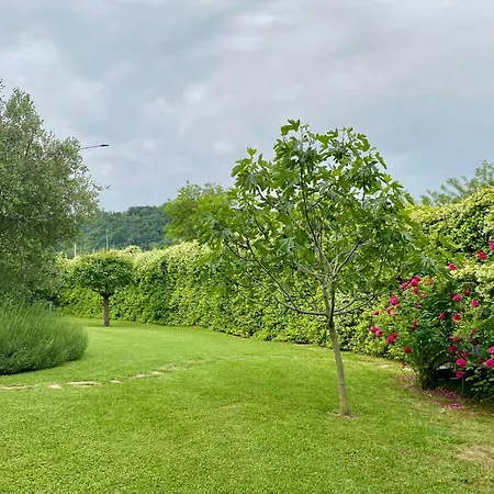 לינה וארוחת בוקר Pozzo Di Mezzo בולוניה