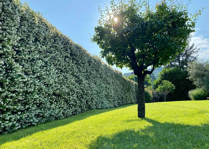 فندق مبيت وإفطار Pozzo Di Mezzo بولونيا