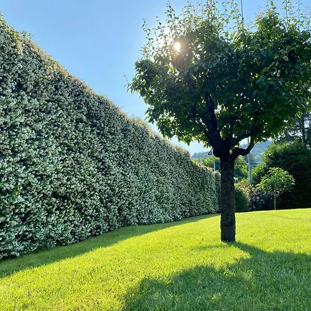 Frühstückspension Pozzo Di Mezzo Bologna